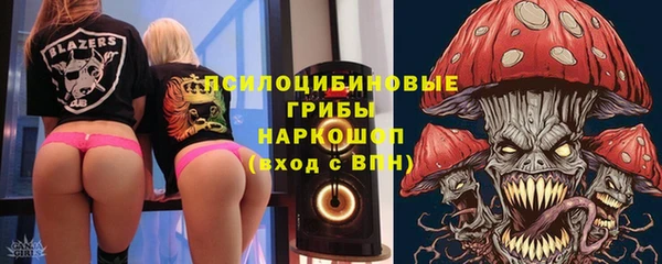 таблы Белокуриха
