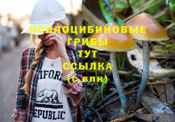 дживик Саяногорск